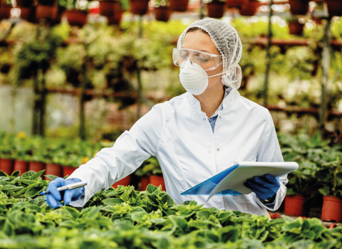 R&G Indumentaria de Seguridad e Higiene para el sector Alimentario, Hospitalario e Industrial